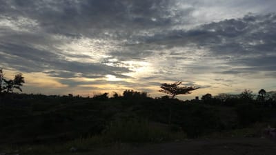 The image captures a landscape at dusk or dawn, possibly in Uruekanoe, Indonesia. The foreground is dark, with vegetation and a dirt ground. A few blades of tall grass are visible. Beyond this, a slope ascends, covered in dense, dark green foliage and trees. The silhouette of a tree with a distinct umbrella-like canopy stands out. In the distance, there is a hint of a skyline with trees and possibly buildings. The sky dominates the upper portion of the image, filled with layered, streaky clouds in shades of gray and white, with the sun partially obscured.
