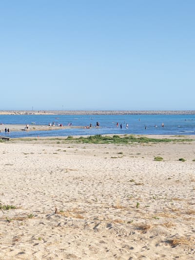 This media file depicts a bright, sunny day at a beach. The foreground is dominated by sandy beach with sparse patches of dry grass and some vegetation. In the mid-ground, a shallow body of water meets the sand, with several people visible wading and relaxing in the water. Further out, the sea stretches to the horizon, marked by a long, sturdy breakwater constructed of large concrete blocks. Beyond the breakwater, more people can be seen in the water, some swimming or standing. The sky is a clear, light blue, indicating fair weather and likely mid-morning to late afternoon. The scene suggests a leisurely day at the beach, with individuals enjoying the water and sun. The presence of the breakwater hints at a potentially calm and protected swimming area. No text is visible in the image. The location is Ömirzaq, Kazakhstan.