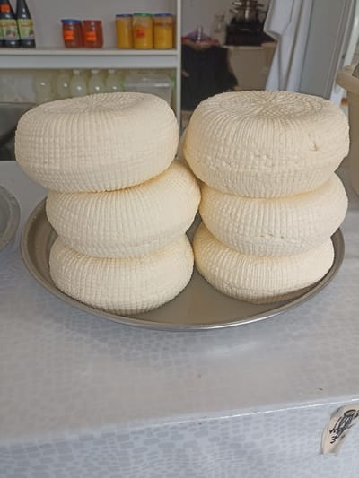 The image displays a close-up of several round, white cheeses stacked on a metal platter, situated on a white tablecloth with a patterned texture. The cheeses appear to be fresh, with a distinct woven or netted pattern on their surfaces, likely from the mold used to shape them. In the background, shelves are visible, holding bottles and jars, suggesting a market stall or a food preparation area. The lighting is bright, illuminating the foreground cheeses and casting soft shadows. The overall scene evokes a sense of homemade or artisanal food production, possibly in a local market or shop in Buynaksk, Russia, given the context.