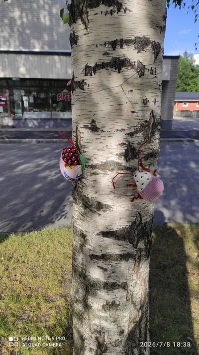 The image shows a close-up of a birch tree trunk with two handmade, bug-like toys attached to it. The toys are fabric creations with colorful patterns and thread antennae and legs. One toy, closer to the top of the frame, is primarily pink with white polka dots and brown thread legs. The other toy, lower in the frame, features a pattern of strawberries and yellow and black circles, also with red thread legs and antennae. The toys appear to be suspended by red threads.

The tree trunk itself is textured with the characteristic white bark and dark vertical markings of a birch tree. Sunlight casts shadows from the leaves and branches onto the bark, creating a dappled effect. The background is out of focus but suggests an outdoor setting. To the left, a building with glass windows and signage is partially visible, hinting at a commercial area. To the right, a grassy area and a paved surface are discernible.

The time stamp in the bottom right corner indicates the photo was taken on July 8, 2026, at 18:38, suggesting it was late afternoon. The lighting and clear shadows suggest fair weather. The presence of the toys on the tree implies a playful or decorative act, perhaps by a child or an artist. The overall mood is whimsical and lighthearted. Visible text includes "REDMI NOTE 9 PRO AI QUAD CAMERA" which is likely a watermark from the phone used to take the picture. The location context is Iisalmi, Finland.