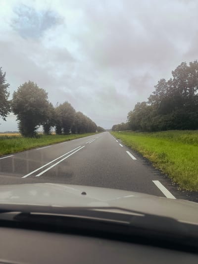 The image captures a view from inside a vehicle traveling on a road in Dronten, Netherlands. The road is asphalt with white lane markings, indicating a rural or semi-rural setting. On the left side of the road, there is a row of trees that appear to be planted in a line, with some of them arching over the road. Beyond the trees, a field of crops, possibly wheat, is visible. On the right side of the road, there is a dense line of trees and vegetation. The sky is overcast with clouds. The foreground shows the hood and windshield of the vehicle. The overall scene suggests a journey through a landscape characterized by agricultural fields and lined avenues of trees.