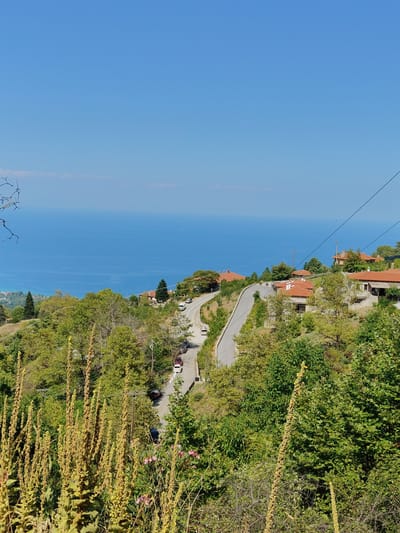 The image captures a scenic view of a winding road leading through a village nestled on a hillside overlooking a vast expanse of blue ocean. The village, identified as Palaios Panteleimonas, Greece, features traditional houses with terracotta tile roofs, surrounded by lush green trees and vegetation. Several cars are visible on the road, suggesting ongoing activity.
In the foreground, tall, dried plants with seed stalks dominate, adding a rustic texture to the scene. The mid-ground is filled with dense greenery, interspersed with the red-tiled roofs of the village buildings. The road itself curves through the landscape, connecting the different parts of the village and hinting at the hilly terrain.
The background is characterized by the calm, deep blue of the ocean, meeting the clear, bright blue sky at the horizon. A faint, hazy line of what appears to be distant land or clouds is visible near the horizon. The overall impression is one of a tranquil, sun-drenched day in a picturesque coastal village.
The time of day appears to be midday or early afternoon, indicated by the bright sunlight casting sharp shadows. The weather seems clear and fair, with no clouds in the sky. The emotion evoked is one of serenity and natural beauty, with a touch of charm from the traditional architecture. No text is visible in the image.