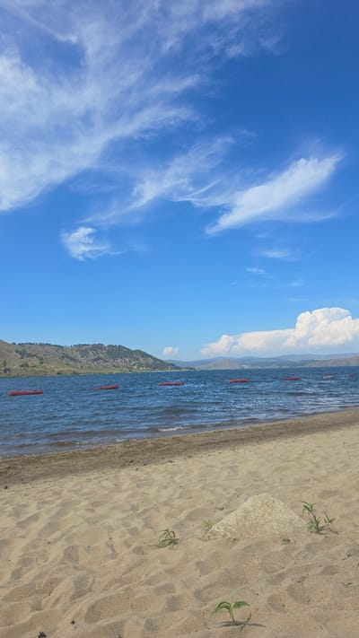 The image depicts a serene lake scene under a bright blue sky dotted with wispy white clouds. In the foreground, a sandy beach stretches across the bottom of the frame, with small green plants growing sparsely from the sand and a light-colored rock formation. The gentle waves of a dark blue lake lap at the shore. Several bright red, rectangular buoys are spaced out across the water, marking a section of the lake. In the background, a hilly, tree-lined landscape forms the distant shore. The overall impression is one of a peaceful summer day at a lakeside, likely in a natural or recreational area. The location specified is Manat, Kazakhstan, suggesting this is a scene from a lake in that region.