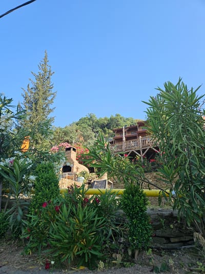 The image captures an outdoor scene in Tire, Turkey, under a clear, bright blue sky with a dark overhead utility line visible in the upper left quadrant. The foreground is dominated by dense green foliage, including oleander plants with scattered white and pink flowers, and a prominent small, conical evergreen bush in the center. A horizontal yellow pipe is partially visible across the mid-ground, running behind some vegetation. In the middle-left, a brick outdoor oven or fireplace with a chimney is situated, surrounded by more greenery. Towards the upper right and center, a multi-tiered wooden building, possibly a guesthouse or lodge with multiple balconies and wooden railings, is nestled into a densely wooded hillside. A tall, slender coniferous tree stands prominently on the left side, extending into the sky. A low stone retaining wall is visible in the lower mid-ground. The immediate foreground consists of uneven, sparsely vegetated soil. No individuals are present in the scene. The lighting suggests daylight conditions.