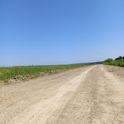 The image shows a wide, unpaved dirt road stretching into the distance under a clear blue sky. The road is composed of light-colored soil and gravel, with visible tire tracks indicating recent use. To the left of the road, there is a dense area of green grass and vegetation, with some patches of dry earth and debris along the edge. To the right and further in the distance, the terrain slopes upward, covered with trees and green foliage. The overall environment appears to be rural and undeveloped. This scene is located in the city of Tambovskoe, Russia. There are no people or animals visible in the image.