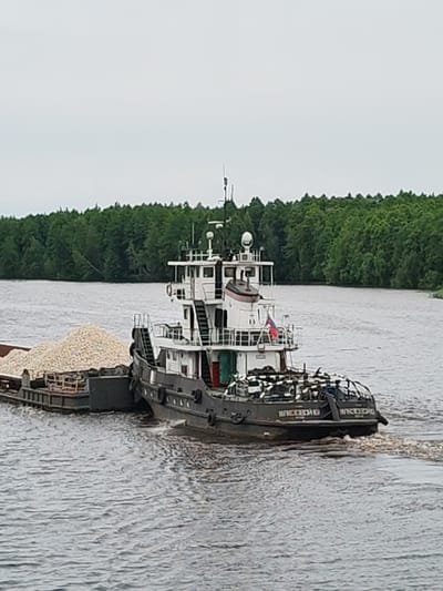 This media file shows a tugboat pushing a barge laden with a light-colored, granular material, likely stone or gravel, down a river. The tugboat is dark gray with a white superstructure and a prominent cabin. A Russian flag is visible on the tugboat's superstructure. The barge is long and rectangular, filled high with the cargo.
The scene is set on a wide river with calm water, creating gentle ripples. In the background, a dense, green forest lines the riverbank, suggesting a natural, possibly remote, location. The sky is overcast, indicating a cloudy day, and there are no strong shadows. The lighting is diffused.
The overall impression is one of industrial activity within a natural landscape. The tugboat and barge are the primary objects, engaged in the transportation of goods. The lack of visible people adds to the focus on the vessels and the task. The setting appears to be a waterway in Novokemskii, Russia, given the location context.
Visible text on the stern of the tugboat appears to be in Cyrillic script. It reads "ВЛЕСЕВИЧ" on the left side and "ВЛЕСЕВИЧ" again on the right side, likely the name of the vessel.