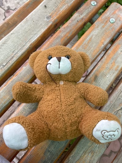 A brown teddy bear lies on a wooden bench. The bear is on its side, with its head towards the left of the image. Its eyes are black and round, and it has a white muzzle with a brown nose and mouth. There's a small, clear button on its chest. The bench is made of weathered wooden planks, with visible screws or nails. Green foliage is visible in the background, suggesting an outdoor setting. The scene appears to be a casual, everyday moment, perhaps in a park or garden. There is no visible text in the image. The lighting suggests it is daytime.