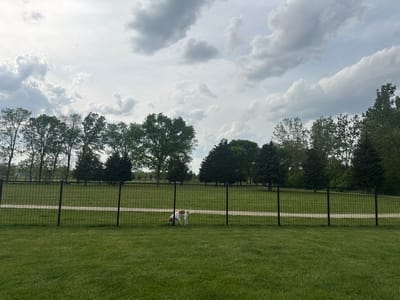The photograph, taken in Glenview, United States of America, showcases a grassy field enclosed by a black metal fence. The field extends to a backdrop of trees under a cloudy sky. A dog with brown and white markings is positioned near the fence, appearing to sniff the ground. Beyond the fenced area, a dirt path bisects the green space.