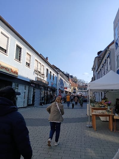 The image captures a pedestrian shopping street, identified as Kaiserstraße in Homburg, Germany. The scene is set under a clear blue sky, indicating daylight. The street surface is paved with interlocking grey and darker grey rectangular blocks.

On the left side of the street, a light blue multi-story building features several windows, some equipped with light-colored exterior roller shutters. The ground floor of this building hosts a business named "California Nails," with its sign prominently displayed. Further down this side, another shop sign partially reads "G.U.C.C.I." Buildings lining the right side of the street are also multi-storied, exhibiting darker window shutters.

In the mid-ground on the right, a white canopy tent is erected, housing a market stall. Underneath the tent, two light-colored wooden tables are visible, laden with various ceramic or pottery items such as bowls and vases, alongside small bouquets of fresh flowers.

Several individuals populate the street. In the immediate foreground on the left, the back of a person wearing a dark blue hooded jacket and a dark baseball cap is visible. Slightly ahead and to the center-right, another person is seen from behind, wearing a khaki-colored jacket, blue jeans, and white athletic shoes, carrying a light-colored cross-body bag. Further down the street, multiple other pedestrians are observed, including one individual in a bright yellow or orange vest and another walking a small, dark-colored dog. People are moving in various directions along the pedestrian thoroughfare. The scene is brightly illuminated, with visible shadows suggesting direct sunlight.