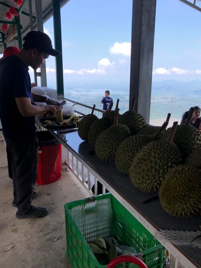 In Nam Hải, Vietnam, on an elevated platform overlooking a valley with a body of water and distant mountains, a man wearing a dark blue t-shirt and a black baseball cap is in the process of peeling a durian. He is standing at a dark countertop, with his hands, covered in clear plastic gloves, holding a durian and a tool that appears to be a peeler or knife. Several durians are arranged on the countertop in front of him, and a red plastic basket filled with durian rinds is positioned below. To the right, a green plastic crate contains more durians. In the background, a child wearing a blue t-shirt with the number '7' on it stands looking out at the view. Further to the right, a woman with dark hair is also observing the scenery. The platform has a metal railing and a concrete floor where two cigarette butts are visible. The sky is blue with scattered clouds.