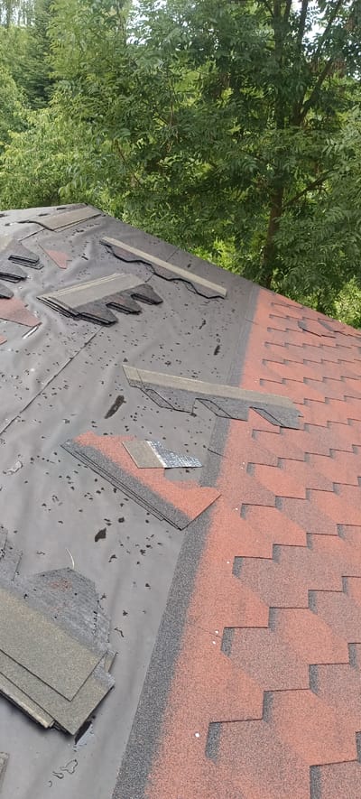 The image shows a partially shingled roof in a wooded area. The roof is covered with black felt paper, and on the right side, red and black asphalt shingles are installed in a staggered pattern. On the left side, stacks of new shingles, both red and black, are laid out on the felt paper, some appearing to be partially installed. There are water droplets on the felt paper, suggesting recent rain. The background consists of lush green trees, indicating a natural or semi-rural environment. The scene depicts ongoing roof repair or installation work.