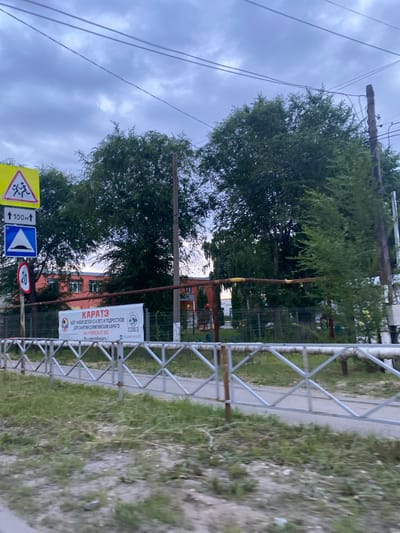 This image depicts a street scene in Volzhskiy Utes, Russia, under a cloudy sky, suggesting it might be late afternoon or early evening. The primary subjects are traffic signs and a promotional banner.

Several road signs are visible. A triangular yellow sign with a red border warns of children crossing. Below it, a rectangular sign with a blue background and white arrows indicates a speed bump. A circular red sign with a white border displays the number "20", likely a speed limit.

A prominent banner, written in Russian, advertises "KARATE" and announces enrollment for children (from 4 years old) and teenagers for Olympic Karate classes. It also provides a phone number (+7(909)36-57-902) and a website (vk.com/soyuzilt), with the slogan "We teach to win!". Another word, "СОЮЗ" (Soyuz), is also visible on the banner.

The scene is framed by lush green trees and a metal fence. Electrical wires run overhead, contributing to the urban or suburban setting. The overall impression is one of a community space, possibly near a sports facility or school, where these signs and the banner are meant to inform and attract participants. The cloudy weather adds a slightly subdued atmosphere to the image.