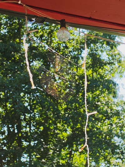 An outdoor scene with a focus on a spiderweb strung between artificial lights, set against a backdrop of blurred green foliage. The spiderweb is visible in the center of the image, catching the sunlight. To the left, a single lightbulb hangs, attached to wires. To the right, a string of small, rectangular lights hangs vertically. The lights are connected by wires that are affixed to a red overhang. The foliage suggests trees and a bright, sunny day. The location is specified as Stanovtsovo, Russia. There are no people present in the image.