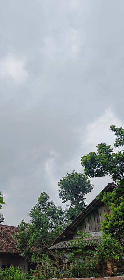 This is a low-angle shot of a cloudy sky above a cluster of buildings and lush green trees. The sky occupies the majority of the frame, with diffuse gray clouds obscuring any direct sunlight. In the foreground and mid-ground, several trees with dense foliage are visible, their branches reaching towards the sky. Two distinct structures are partially visible. To the left, a building with a terracotta-tiled roof is evident, with its walls appearing to be made of brick or concrete. To the right, a second building is visible, featuring a steeply pitched roof covered with corrugated metal or asbestos sheets. This structure has wooden siding on its upper portion. The area appears to be a residential or rural setting, likely in Kemuning, Indonesia, given the architectural style and vegetation. There are no people visible in the frame. The scene depicts a natural environment with man-made structures under an overcast sky.