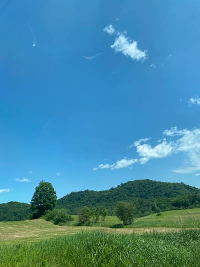 The image depicts a scenic landscape under a clear blue sky with scattered white clouds. In the foreground, a field of tall green grass transitions to a mown field with visible patterns from mowing. Further back, a large, solitary green tree stands on a gentle slope. Beyond that, a rolling, tree-covered hill forms the background. The environment appears to be rural and tranquil. There are no people or specific objects that would indicate a precise location within Saint-André-Avellin, Canada. The image is a general landscape view.