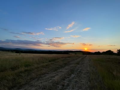 This image depicts a sunset over a rural landscape, likely in the vicinity of Dolni Dragoitsa, Bulgaria. The foreground is dominated by a dry, grassy field with a dirt path winding through it, leading towards the horizon. The path is composed of packed earth and small stones. In the middle ground, there is a dense line of trees, forming a dark silhouette against the setting sun. Beyond the trees, rolling hills are visible, culminating in a range of mountains in the far distance. The sky is a gradient of colors, transitioning from a clear blue at the top to hues of orange, pink, and yellow near the horizon, illuminated by the setting sun. Scattered clouds are present, catching the last rays of sunlight. The overall impression is one of tranquility and natural beauty during the golden hour. No people or animals are present in the image.