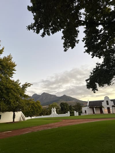 The image captures a serene outdoor scene, characteristic of the Drakenstein Nu region in South Africa, showcasing a blend of architectural heritage and natural beauty.

The primary subject is a stately Cape Dutch-style building, distinguished by its gleaming white walls, ornate gables, and dark, contrasting roof. Dark window or door frames are visible beneath a classic veranda. This grand structure stands prominently on the right side of the frame.

In the immediate foreground, a meticulously maintained green lawn stretches across, segmented by a well-defined reddish-brown path or track. Further along the lawn, another smaller white building or structure with a visible set of steps can be seen.

The scene is framed from the top and left by the dark, silhouetted branches and dense foliage of large trees, creating a natural border. In the midground and extending into the background, lush green trees are scattered, adding depth to the landscape. Dominating the distant background are imposing mountains with rugged peaks, partially shrouded by a soft, cloudy sky.

The sky is overcast with diffused light, indicating either an early morning or late afternoon ambiance, creating a gentle illumination over the landscape. There are no people visible, and no specific activity or event is taking place, contributing to a tranquil and timeless atmosphere. No text is visible within the image. The architectural style, combined with the mountainous terrain and verdant landscape, strongly points to the Western Cape's picturesque wine lands.
