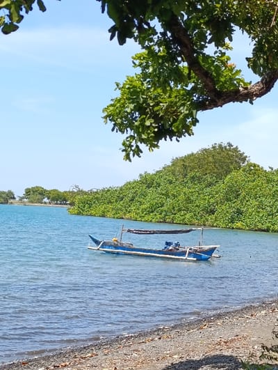 The image shows a small blue boat, anchored in calm blue water. The boat has a black canopy and is docked in a cove near a shoreline with dark pebbles. The cove is surrounded by a thick expanse of lush green trees on a bright, sunny day. The scene is captured from a high vantage point, and the foreground is dominated by the sandy shoreline and the gently rippling water. The location is a coastal area of Kecamatan Banyuputih, Indonesia, at coordinates -7.756 latitude and 114.374 longitude.