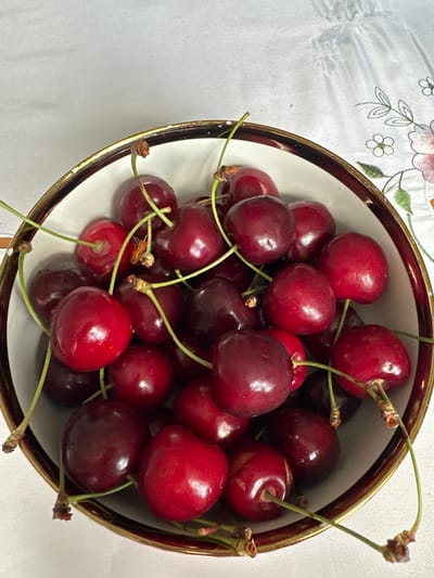 A close-up overhead shot captures a bowl filled with ripe cherries, resting on a white tablecloth with embroidered floral designs. The bowl itself is white with a gold rim, and the cherries are a deep red, some with stems still attached. The lighting is natural and somewhat diffused, casting soft shadows. There are no people or animals visible in the image, and no specific location details within Кашат, Kyrgyzstan are evident from the visual information provided. The scene is still and domestic.