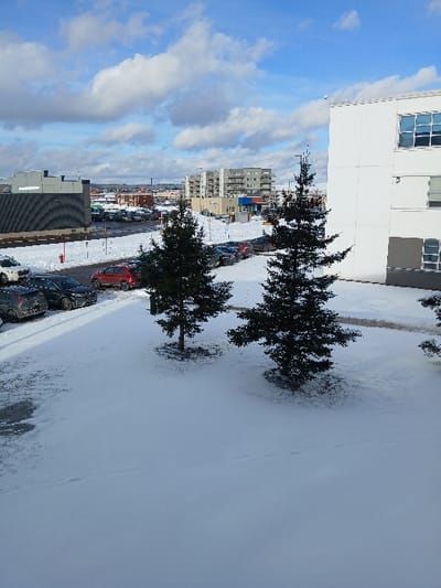 A snow-covered scene features buildings and trees under a cloudy blue sky. A tall white building stands prominently, with other buildings visible in the distance. The foreground is dominated by snow, with two pine trees adding texture. Cars are parked along a street, partially covered in snow. The photograph appears to be taken from an elevated viewpoint, offering a wide perspective of the urban and natural elements.