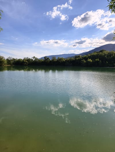 The media file depicts a serene natural landscape. The primary subjects are a tranquil body of water, a dense line of trees and vegetation along its bank, and a mountainous backdrop. The sky above is a vibrant blue, dotted with fluffy white clouds, suggesting a clear and pleasant day. The sunlight reflects off the water, creating shimmering patterns and mirroring the sky and surrounding greenery.

The scene is set outdoors, likely during daylight hours, as indicated by the bright illumination and clear sky. The presence of a diverse range of trees suggests a natural, possibly rural or park-like setting. The water appears calm, with gentle ripples on its surface, reflecting the sky and trees. The mountainous terrain in the distance adds depth and grandeur to the scene. There are no visible people or specific objects that draw attention, emphasizing the natural beauty of the location. The overall mood conveyed is peaceful and tranquil, inviting contemplation of nature's aesthetics.

The location is identified as Kiparisnoe, Ukraine. The time of day appears to be afternoon, given the brightness of the sunlight and the position of the clouds. The weather is clearly fair and sunny. The reflection of the clouds on the water and the lush green foliage are notable details that contribute to the picturesque quality of the image. There is no visible text within the media file.