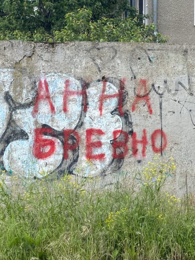 A concrete wall with graffiti is located next to vegetation. The graffiti consists of large, bubble-lettered writing, with underlying colors of white and blue outlined in black. Superimposed on the bubble letters is red graffiti. There is additional black graffiti above and to the left of the main piece. The vegetation consists of green foliage and yellow flowers. A leafy tree is on the left of the wall. A building's corner is visible in the upper left. The location is Yelizavetinskaya, Russia.