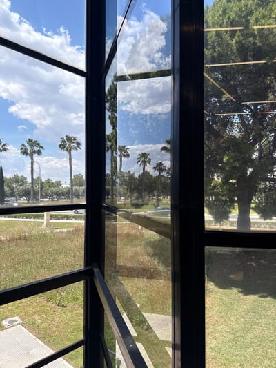 The image shows a view through a series of windows, likely from inside a building. Outside, there are palm trees and other trees, suggesting a warm climate. The sky is blue with scattered clouds. There is grass visible outside the windows as well. The location is Sant Vicent del Raspeig, Spain. The reflection in the windows shows more of the trees and sky.