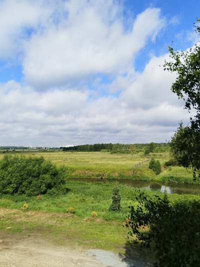 The image depicts a landscape view from a high vantage point, looking out over a rural or semi-rural area. In the foreground, a dirt path or road is visible, with sparse vegetation. To the left and right, there are dense green trees and bushes. The middle ground features a wide, grassy field that slopes down towards a narrow, calm river or stream. The river is bordered by lush green grass and reeds. Further in the distance, across the field, a line of trees forms a dense forest or wood. Beyond the treeline, on the horizon, several multi-story buildings, characteristic of a town or city, are visible under a bright blue sky filled with white, fluffy clouds. The overall impression is one of a sunny day in a natural setting with urban development in the background, likely the city of Sverdlovskiy, Russia. No people or animals are discernible in the image.