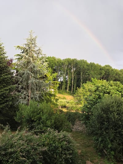 This is a vertical, eye-level, outdoor, daytime photograph taken in Baztan, Spain. The scene depicts a lush green landscape with a prominent rainbow arching across a pale, overcast sky on the left side of the frame. A dense canopy of trees dominates the background, with a line of taller, thinner trees in the mid-ground interspersed with overhead power lines. The foreground features a variety of greenery, including a large, silvery-green conifer tree on the left and various bushes and smaller trees. A narrow, unpaved path winds through the foliage towards the center of the image, disappearing into the dense vegetation. The overall impression is one of a tranquil, natural setting after a rain shower, suggested by the presence of the rainbow. The lighting is soft and diffused, consistent with an overcast sky. There is no visible text in the image.