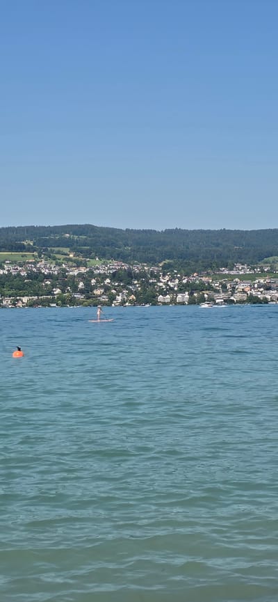 In Oberrieden, Switzerland, a serene lake scene unfolds under a clear blue sky. The foreground is dominated by the tranquil, rippling blue waters of the lake, with gentle waves creating a shimmering surface. To the left, a bright orange buoy floats, its rounded shape a distinct marker in the expanse of water. Further out, a person is visible stand-up paddleboarding, a solitary figure navigating the calm lake. The middle ground features a picturesque lakeside town, characterized by a dense collection of white and light-colored buildings nestled on a green, tree-covered hillside. The town stretches along the shoreline, indicating a vibrant community. Beyond the town, rolling green hills and a dense forest rise, forming a natural backdrop that frames the human settlement. The horizon is marked by the clear line between the water and the distant land, under a vast, unblemished blue sky.