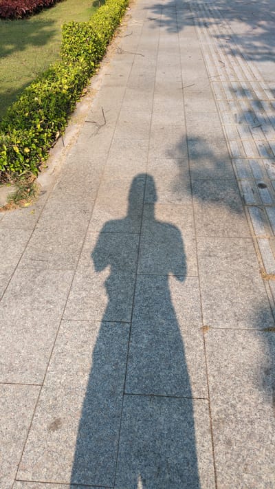 The image shows a shadow of a person on a paved walkway in Phan Rang – Tháp Chàm, Vietnam. The walkway is made of rectangular granite tiles and is bordered on one side by green bushes and grass. The shadow is elongated and falls across multiple tiles. There are also shadows of tree branches visible.