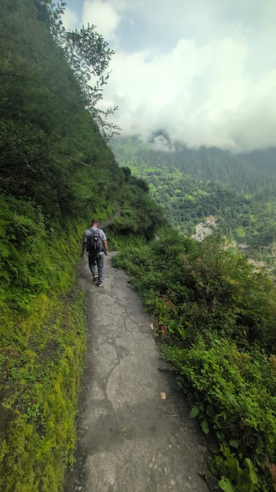A lone figure, a man wearing a grey t-shirt, blue jeans, and a black backpack, walks away from the camera on a narrow, cracked, asphalt path. The path follows the contour of a steep, verdant mountainside. Lush green foliage, including mosses and ferns, covers the left side of the path, climbing the slope. The right side of the path is bordered by dense green bushes and smaller trees, with a dramatic drop-off into a valley.
In the distance, the valley is filled with rolling hills covered in dense pine forests. A light mist or fog clings to the higher elevations, partially obscuring the tops of the mountains and the sky. The clouds are white and grey, suggesting a somewhat overcast or misty day. Small scattered structures, possibly homes or village buildings, can be seen nestled within the forested slopes in the distance. The overall scene depicts a remote, natural environment, likely a hiking trail in a mountainous region, possibly in or near Malana, India, given the landscape. The man is engaged in solitary movement, walking along the path.