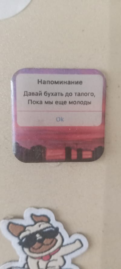 The image shows a sticker with a pop-up notification design. The notification is titled "Напоминание" (Reminder) and contains the text "Давай бухать до талого, Пока мы еще молоды" (Let's party until we drop, while we are still young). Below the text is a button labeled "Ok". The background of the notification depicts a sunset over a cityscape. A cartoon image of a pug wearing sunglasses and a red scarf is visible below the notification, suggesting this is a sticker meant for a notebook or other personal item. The location of Kudymkar, Russia, is not depicted in this image.