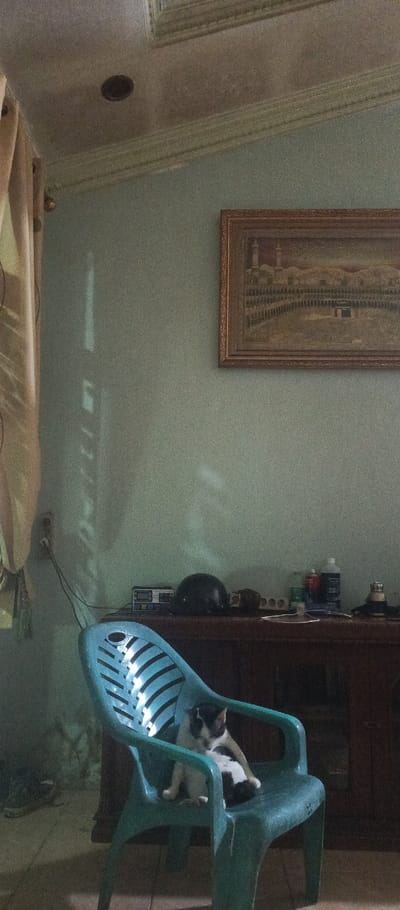 The image captures an interior residential room in Pontianak, Indonesia, illuminated by natural light entering from the left. A black and white domestic short-haired cat is positioned on a teal, slatted plastic chair, facing left with its head slightly bowed. The cat exhibits a white body with black patches on its head, back, and tail.
To the right of the chair, a dark wooden credenza or low cabinet holds various items, including a black motorcycle helmet, a two-way radio, a white multi-outlet power strip with associated wiring, and several bottles, one white and one with a red cap. The wall above the furniture is painted a light greenish-blue. A rectangular picture frame, possibly wooden, hangs on this wall in the upper right quadrant, containing an image depicting the Kaaba in Mecca, flanked by minarets.
On the left side of the frame, a light-colored, possibly beige or cream, curtain hangs partially drawn, with vertical shadows cast on the adjacent wall by an unseen window frame or blinds. A white electrical outlet is visible on the wall near the curtain, with a black cable extending downwards towards the credenza. The ceiling is light-colored and features decorative molding, with a single dark, circular recessed light fixture visible. The floor is light-colored and appears to be tiled, with a pair of dark shoes partially visible on the left side of the frame.