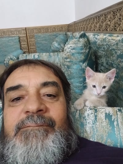 A close-up selfie shows a man and a light-colored kitten on a teal patterned sofa. The man, in the foreground, has a full grey beard and dark hair. The kitten is peeking over the back of the sofa to the right of the man. The sofa has an ornate, gilded wooden trim along the top. The image appears to have been taken indoors, likely in a living room. The location of this scene in Hun, Libya cannot be determined from the image.