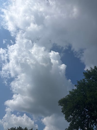 This is an image taken from below looking up at a sky filled with dramatic clouds. The clouds are a mix of bright white and dark grey, suggesting a partly cloudy day with some potential for rain. A portion of a dark green tree with dense foliage is visible in the lower right corner of the frame. The image appears to be taken outdoors in a natural environment, possibly a park or a residential area with trees. No people are present in the image. The overall impression is one of a dynamic sky over a green landscape. The location of Hradec-Nová Ves, Czechia, is mentioned as context, but there are no specific visual cues within the image that would pinpoint this particular location.