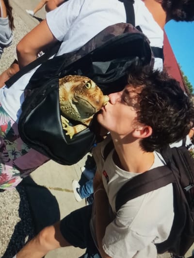 A young male with dark, curly hair, wearing a light-colored t-shirt with a small emblem and dark shorts, is depicted outdoors, angled from an elevated perspective. He wears a black backpack and is leaning forward, puckering his lips to make contact with the snout of a large, tan-colored amphibian. The amphibian, possibly a large horned frog or toad, has prominent yellowish eyes and textured skin, and is partially visible emerging from an open black bag. In the background, portions of other individuals are visible, including a person in a white t-shirt and light shorts, and another wearing blue jeans and white sneakers. The ground is paved, and the scene is illuminated by bright daylight under a clear blue sky, with distant reddish structures and green foliage. The specific location within Yangirabаt, Uzbekistan, cannot be identified based on the visual evidence in the image.