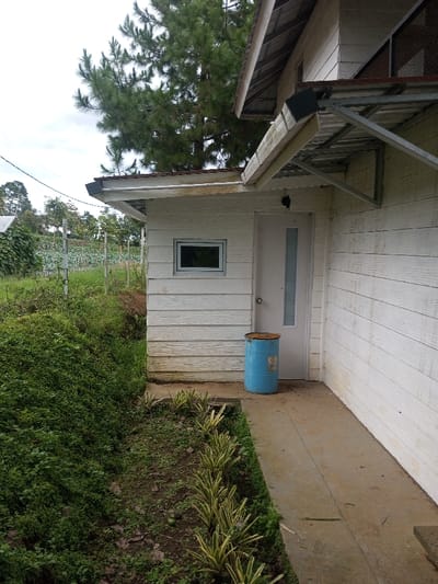 The image depicts the exterior of a white, horizontal-sided building within a vegetated environment. A light-colored door with a vertical translucent panel and a metallic doorknob is centered on the building's facade. To the left of the door, a rectangular window with a dark frame is visible. Above the door and window are white eaves; a larger metal-framed canopy extends from the upper right portion of the building. A blue metal barrel with a rusted top rim rests on the concrete path directly in front of the door. The concrete path runs parallel to the building. To the left of the path, a landscaped strip features a row of variegated plants, followed by a dirt area and dense green foliage. In the background, a wire fence separates the immediate area from a cultivated field with rows of staked plants. Beyond the field, distant trees are visible under an overcast sky. A large evergreen tree is prominent in the upper left background, behind the building. No individuals are present. The specific location of Abbireddygudem, India, cannot be confirmed from the visual evidence provided in the image.