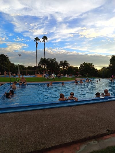 The image captures a vibrant scene at the Termas del Daymán, Uruguay, during the late afternoon or early evening. A large outdoor thermal swimming pool, bordered by a distinct blue edge, occupies the midground and foreground. Numerous people, predominantly adults of varying ages, are visible in the pool, swimming, relaxing, and conversing. Some individuals are leaning against the pool edge, while others are submerged deeper in the water.

Beyond the main pool, a lush green grassy area is populated by more people, some of whom are seated on chairs or benches, enjoying the surroundings. The background is dominated by a dense array of green foliage, including several tall palm trees that punctuate the skyline. Prominent light posts are also visible within the complex.

The sky is a notable feature, displaying a beautiful mix of clear blue and scattered white, wispy clouds. Towards the horizon, the clouds take on a warm, golden hue, indicative of the setting sun, casting a soft, diffused light over the entire scene. The overall atmosphere appears peaceful and leisurely, with people enjoying a relaxing time at the thermal baths. No visible text is discernable in the image.