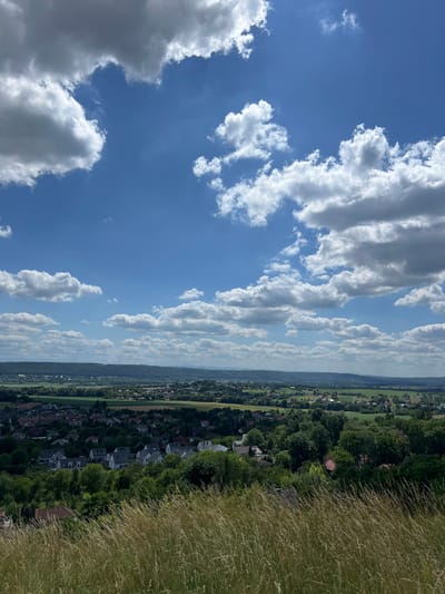This is a wide-angle, high-angle outdoor photograph taken on a sunny day with scattered white and gray clouds against a bright blue sky. The foreground is dominated by tall, dry grass, blurred by the shallow depth of field.

Below the foreground, a suburban or semi-rural residential area is visible, with numerous houses characterized by dark grey or red roofs and white or light-colored walls. These houses are nestled among lush green trees and smaller clusters of vegetation. The settlement appears to spread across a gentle slope, transitioning into fields and more distant, undulating hills that form the horizon. Agricultural fields, predominantly green, are interspersed with patches of trees. The overall impression is of a calm, pastoral landscape with a settled community.

The image was taken in or around Karniowice, Poland, looking out over a residential area with a backdrop of green hills. There are no people or animals visible in the frame. The scene depicts a daytime view of a peaceful, developed landscape.