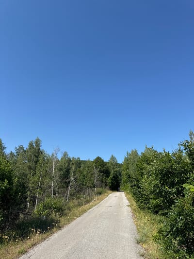 The image depicts a paved road winding through a dense forest under a clear blue sky. The road is a light gray asphalt with visible cracks and patches, suggesting it is a well-traveled but aging surface. On either side of the road, lush green foliage dominates the landscape. To the left, a mix of deciduous trees, including birches with their distinctive white bark, and other green leafy trees, create a thick undergrowth. To the right, dense, dark green bushes and trees form a wall of vegetation.

In the distance, at the far end of the road, a lone figure can be seen on a bicycle, silhouetted against the bright sky and the receding treeline. The figure appears to be small in the frame, emphasizing the vastness of the natural surroundings. The terrain appears to be slightly sloped upwards along the road's path. The overall scene evokes a sense of a rural or natural setting, likely a path or road in a wooded area. Based on the provided location of Bukovac, Montenegro, this scene could represent a hiking or cycling trail within the natural beauty of the region.