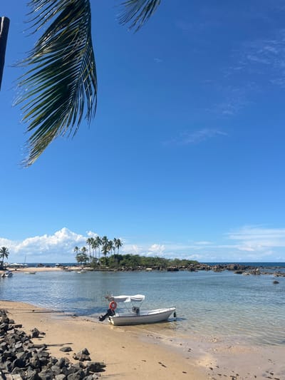 A bright, clear blue sky dominates the scene, contrasted by a palm frond in the lower left corner. The right side shows a tranquil beach with a docked white boat. Palm trees line the shore. Calm, shallow water reflects the sky, creating a serene coastal environment. Rocks are scattered along the shoreline.