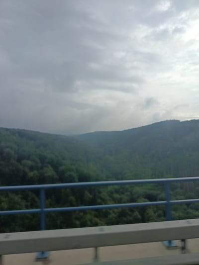 An overcast sky looms above a densely forested valley in Daxweiler, Germany. The foreground features a metal guardrail, a common sight on elevated roadways or bridges, with blue railings positioned behind it. The forested hillsides appear lush and green, suggesting a temperate climate. The overall impression is one of natural beauty under a somber sky, viewed from a man-made structure.