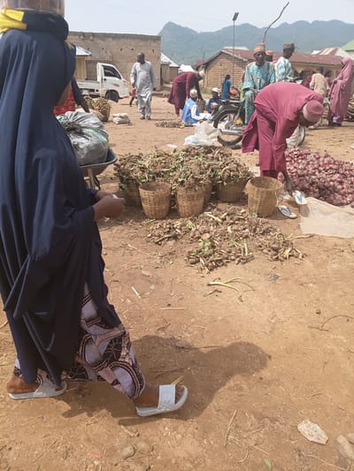 A bustling outdoor market scene unfolds in Tilde, Nigeria, under a clear sky. In the foreground, a woman wearing a dark blue hijab and a patterned skirt stands with her back to the camera, facing a pile of harvested roots with leafy tops. Her feet are adorned with white sandals. Beside her, a wheelbarrow holds a large, grey, woven bag.

The market floor is a dusty, reddish-brown earth, scattered with dried leaves and debris. To the right of the root produce, a large mound of red onions sits on a white tarp. Several woven baskets are filled with more roots, and scattered produce lies on the ground.

In the mid-ground, a man in a light blue and white patterned traditional outfit sits on a green motorcycle, facing the viewer. He wears a patterned cap. To his left, a man in a dark red robe and cap bends over the pile of onions, appearing to sort them. Other individuals, men and women, are visible in traditional attire, some walking and others interacting in the background. A white truck is parked to the left, and simple buildings with corrugated metal roofs form the backdrop. Mountains are visible in the distance. The overall atmosphere suggests a lively marketplace in full operation.