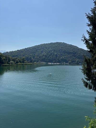 An outdoor, vertical, eye-level shot captures a tranquil lake on a clear, sunny day in Caslano, Switzerland. The foreground is dominated by the calm, rippling surface of the lake, which occupies the majority of the frame. The water is a deep blue-green, reflecting the clear sky. In the mid-ground, a verdant, tree-covered hill rises, its slopes dense with foliage. The shoreline of the hill is lined with trees and scattered buildings, suggesting a small settlement or residential area. The background is a vast expanse of clear, pale blue sky, with only a hint of distant mountains visible on the far left. On the right side of the frame, a large, dark green evergreen tree branches out, its needles sharp and defined, partially obscuring the view of the hill and lake. The overall impression is one of natural beauty and serenity.