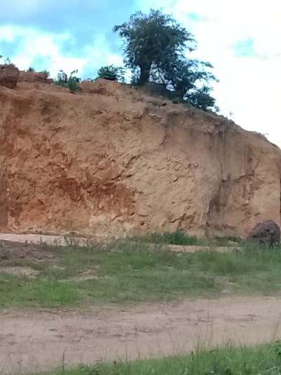 The image shows a sandy cliff face with a few trees and sparse vegetation growing on top and at the base. The cliff is a light brown color and appears to be a natural formation, possibly a quarry or a hillside. In the foreground, there is a patch of green grass and a dirt path. The sky is cloudy and blue. There are no people visible in the image. The scene is consistent with the landscape of Barakin Acha, Nigeria, which is known for its hilly terrain and red earth.