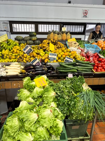 An indoor produce market stall in Noumea, France, is depicted. The environment features white walls and ceiling, with a barred window visible in the upper background. A "DEFENSE DE FUMER" (No Smoking) sign is present on the wall.
The stall displays a large variety of fresh fruits and vegetables across multi-tiered shelving units. The upper tier includes quantities of green and yellow bananas, green squashes, pineapples, oranges, smaller citrus fruits, eggplants, white daikon radishes, garlic, ginger, cucumbers, and red tomatoes. The lower tier is filled with numerous heads of light green lettuce in green plastic crates, alongside bunches of dark green leafy vegetables and spring onions in an adjacent green crate. Yellow and white price tags, written in French, are interspersed throughout the produce, indicating items such as "Banane," "Orange," "Aubergine," "Concombre," and "Salade," with prices in CFP Francs.
One individual, a female of Asian ethnicity, is partially visible in the upper right background. She wears glasses and a dark, V-necked top with ruffled detailing over a lighter long-sleeved shirt. She stands behind a counter, facing right, suggesting she is a vendor or market employee. No direct interactions are depicted; the scene shows a static display of goods for sale.