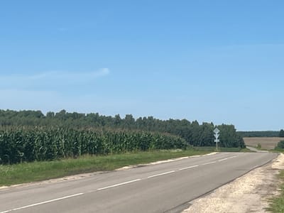 The image captures a rural scene on a clear, sunny day. A paved road with a white line runs diagonally from the lower left to the upper right, curving gently. To the left of the road is a dense field of green corn. Behind the cornfield, a line of dark green trees forms a backdrop, with a lighter green treeline visible further in the distance. The sky is a bright, cloudless blue. On the right side of the road, there is a gravelly shoulder. A road sign with a diamond shape is visible on the right side of the road, at the edge of the tree line. In the distance, the road continues and disappears behind more trees and fields. The scene is peaceful and idyllic, suggesting a rural landscape in the city of Dmitrovsk-Orlovskiy, Russia, perhaps during the summer months.