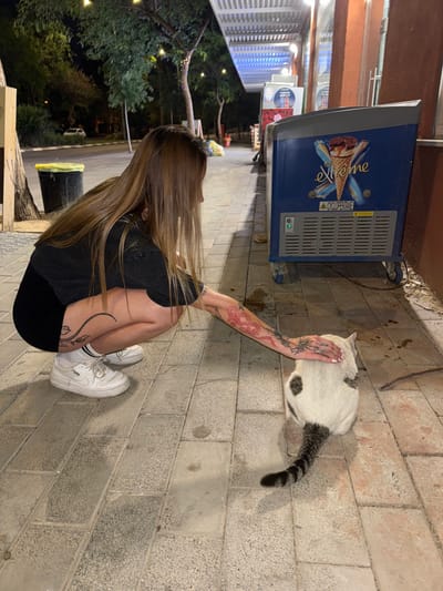 A young woman with long brown hair, wearing a black shirt, black shorts, and white sneakers, is squatting down and petting a white and gray cat with a long tail. The woman has a red snake tattoo on her right arm.  The scene takes place on a sidewalk with brick pavers.  There is an ice cream freezer with the word "extreme" on it, a trashcan, and an orange building behind the woman and the cat. The location is a sidewalk in Beersheba, Israel.  The coordinates are latitude: 31.259, longitude: 34.784.
