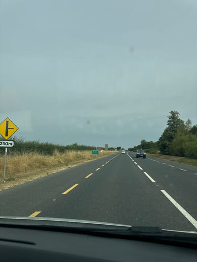 An exterior, eye-level, medium shot captures a view from a vehicle traveling on a paved road with a cloudy sky overhead. To the left, a yellow, diamond-shaped road sign with a black symbol depicting a T-junction is visible, accompanied by a black and white rectangular sign below it displaying "250m". Beyond the sign, dry, tall grass and green bushes line the side of the road. In the distance, several vehicles are driving in the same direction as the camera. On the right side of the road, a line of trees and green foliage is present. Further down the road, two green directional signs are planted on poles. One sign, in smaller print, appears to indicate a destination and possibly a park. The other sign displays "Dun Fest DANE SFOR T". The road has distinct yellow and white lane markings. The foreground shows the dark interior of the vehicle's dashboard and windshield wiper area.